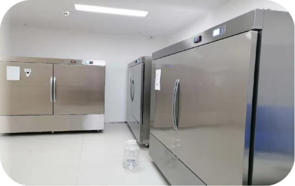 揭秘廣漢三星堆：博物館里的千古之謎！